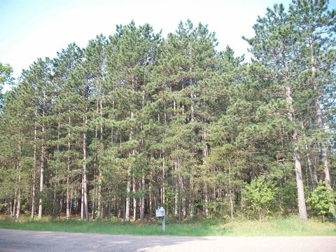 L12 Padre Pio Drive, Necedah, WI 54646