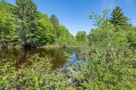 4503 Running Bear Ln, Harshaw, WI 54529