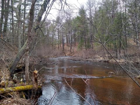 Lot 19 Running Bear Lane, Harshaw, WI 54529