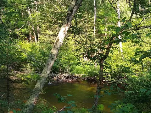Lot 18 Running Bear Lane, Harshaw, WI 54529