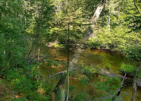 Lot 17 Running Bear Lane, Harshaw, WI 54529