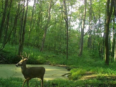 s5386 Oneil Road, Baraboo, WI 53913