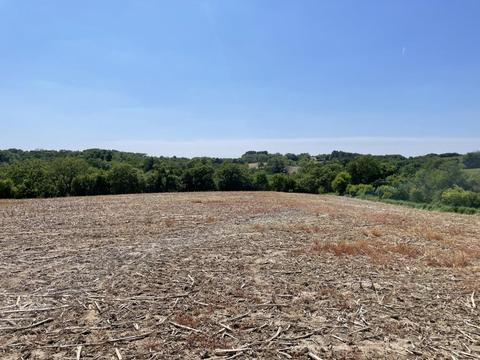Parcel #3 19.13 Acres Brockman Road, Elroy, WI 53929