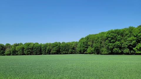 Curran & Bolt Road, Denmark, WI 54208