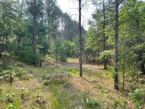 474 Duffers Trl, Nekoosa, WI 54457