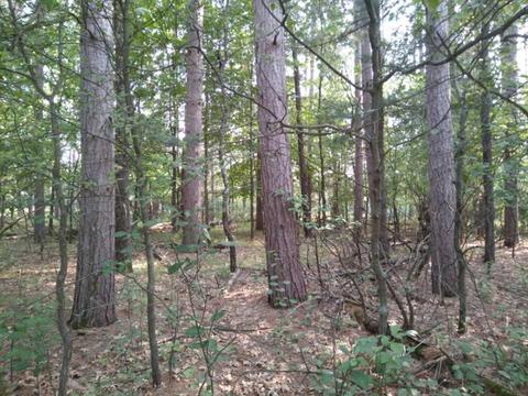 1059 E Queens Way, Nekoosa, WI 54457