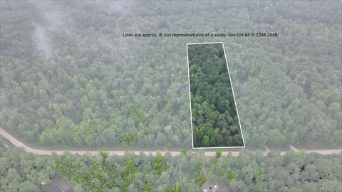 Lot 64 Menominee Woods Drive, Wausaukee, WI 54177