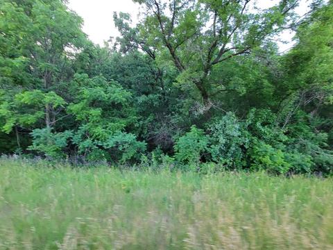 Lot 2 County Road Cs & Q, Poynette, WI 53955