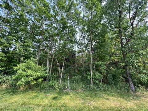 Lot 9 Fairway Lane, Wisconsin Dells, WI 53965
