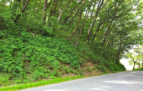 Lot 1 Riley Road, Mauston, WI 53948