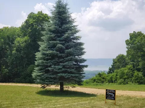 2 29 Ac Desoto Bluffs Rd, De Soto, WI 54624