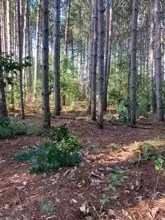 w2017 Amherst Drive, Lyndon Station, WI 53944