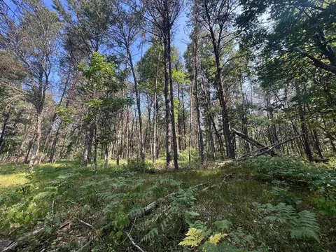 7 7 Acres Eileen Ln, Lyndon Station, WI 53944