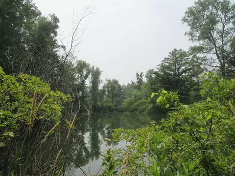 103 Acres County Road J, Westfield, WI 53964
