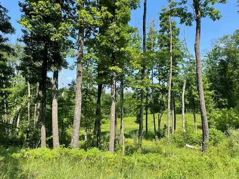 39 87 Acres Woefl Rd, Lyndon Station, WI 53944
