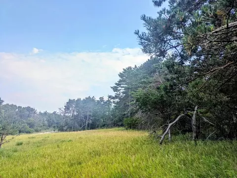 0 2nd Ave, Westfield, WI 53964