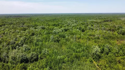 4 Th East St, Necedah, WI 54646