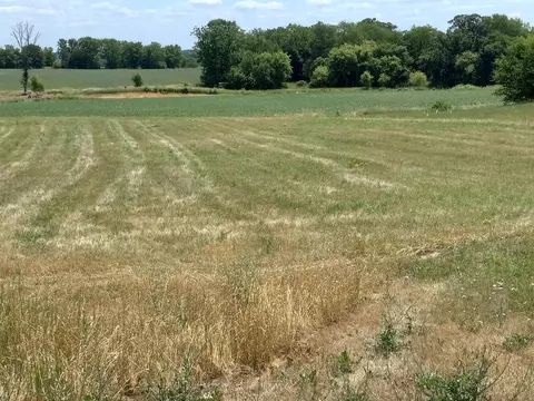 Lot 2 Thorson Road, Sun Prairie, WI 53590