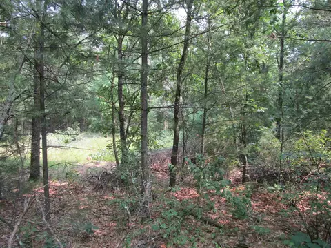 L18 W 17th Lane, Arkdale, WI 54613