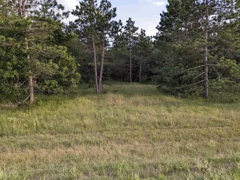 10 8 Acres Alpine Dr, Nekoosa, WI 54457