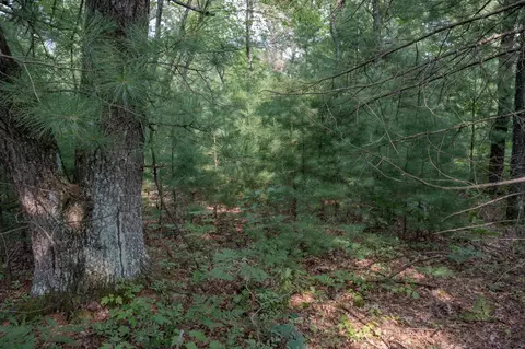 w8878 Cranberry Creek Road, New Lisbon, WI 53950