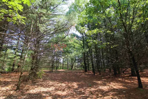 10 Acres 3rd Ln, Coloma, WI 54930