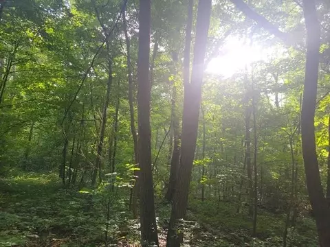 Happy Hill Road, Baraboo, WI 53913