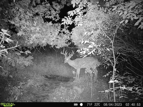 76 78 Acres County Road Y, Wonewoc, WI 53968