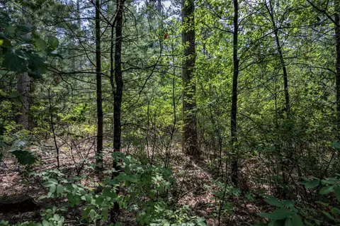 857 Czech Ave, Friendship, WI 53934