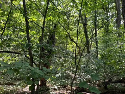 2 4 Acres Cree Dr, Arkdale, WI 54613