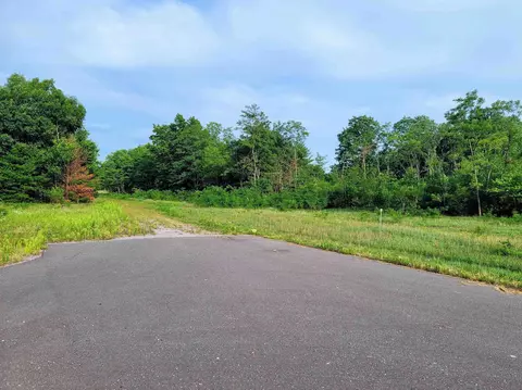 Lot 6 Holzem Circle, Wisconsin Dells, WI 53965