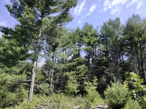 W4346 Fox Road, Montello, WI 53949