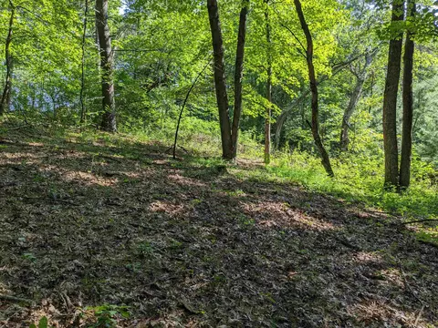 13 74 Acres County Road Z, Adams, WI 53910