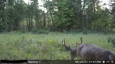 120 00ac Juneau Woods Rd, Lyndon Station, WI 53944