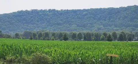 0000 Enke Lane Rd, Gays Mills, WI 54631