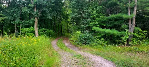 14 76 Acres Highway 1216, Wisconsin Dells, WI 53965
