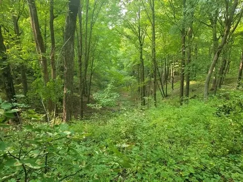67 31 Acres County Rd W, North Freedom, WI 53951