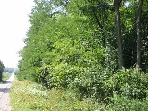 Lot 2 County Road E, Pardeeville, WI 53954