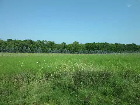 9 27 Ac Domes Rd, Rio, WI 53960