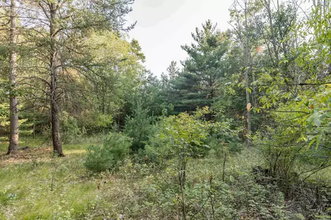 Lot 3 Deer Ridge Estates, Oxford, WI 53952