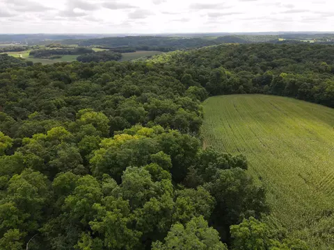 Lot 1 Fesenfeld Road, Black Earth, WI 53515