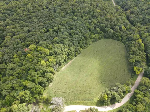 Lot 2 Fesenfeld Road, Black Earth, WI 53515