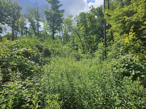 20 Acres Denzer Rd, North Freedom, WI 53951