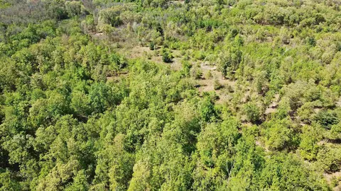 39 84 Acres East St, Lyndon Station, WI 53944