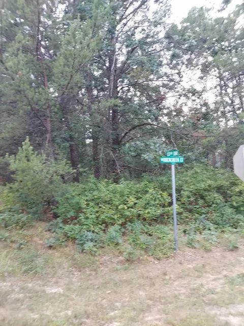 lot21 N Duck Creek Ct, Adams, WI 53910