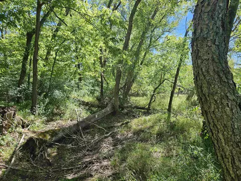 29 5 Acres Wisconsin Riv, Friendship, WI 53934