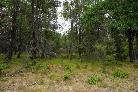 20 Ac 28th St, Necedah, WI 54646