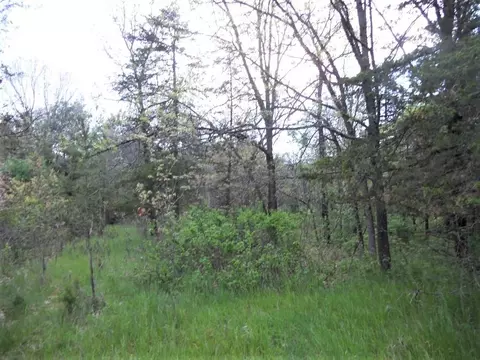 n4327 County Road Hh, Mauston, WI 53948