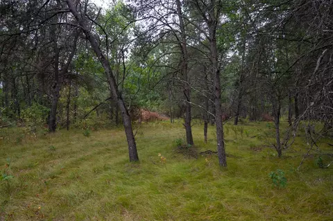 n9015 State Road 80, Necedah, WI 54646