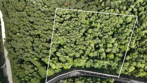 Lot 46 Menominee Woods Drive, Wausaukee, WI 54177